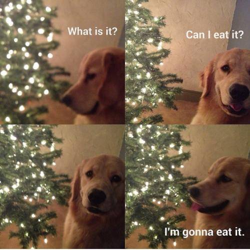 It's getting close to that time of the year.