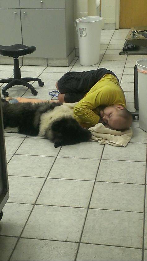 This dog had to spend the night at the emergency clinic last night. His owner stayed with him all night.