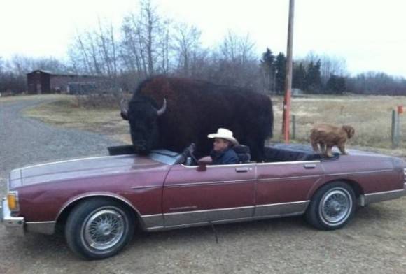 That's how my neighbor farmer rolls.