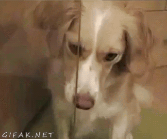 Quick, show me your scary face.