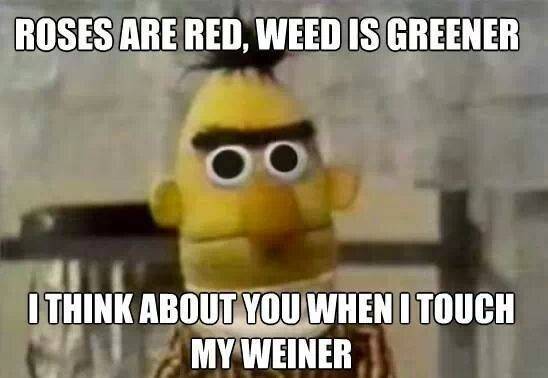 No I idea what to say
