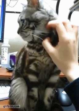 No more, human, no more