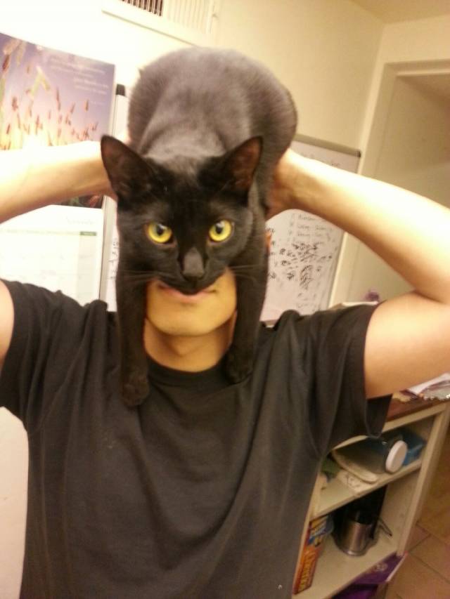 I am vengeance, I am the night, I...am...CATMAN!
