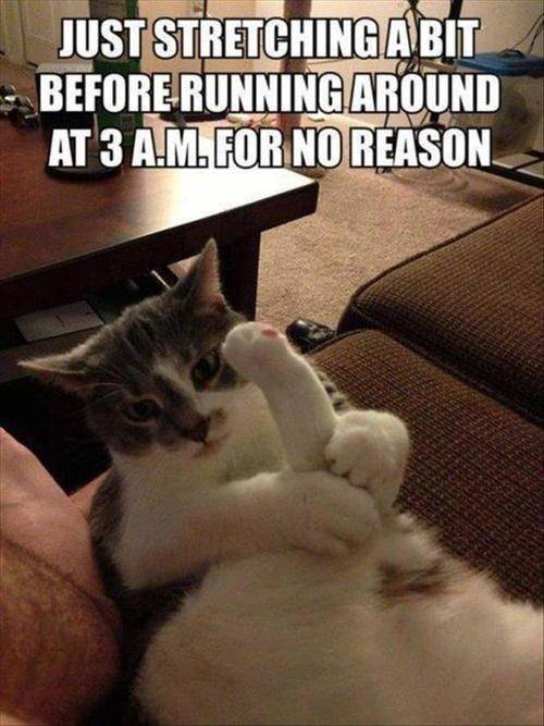 Time for the night crazies!