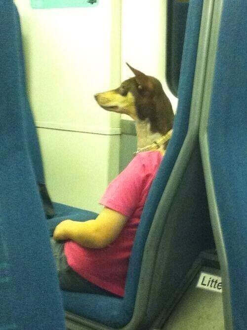TIL the Egyptian God Annubis dresses casually when flying coach.