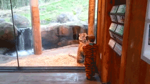 Hey brother... let's play.