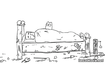 Cats are assh*les
