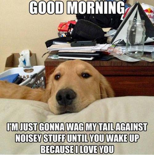Natural alarm clock.