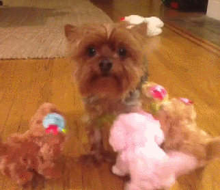 Traumatized