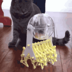 Hamster-powered walker