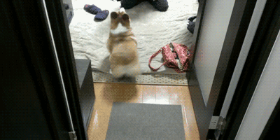 Yeah, shake that ass you bitch