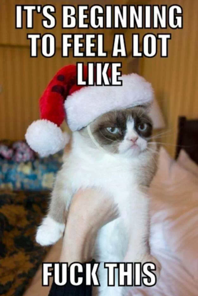 My sentiments exactly