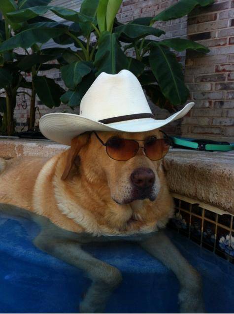 There’s a new sheriff in town...