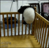 Jail break.