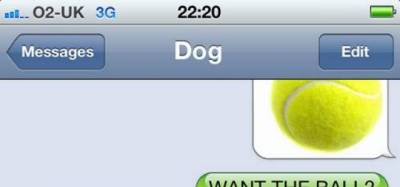 Texts From My Dog (10 Pictures)