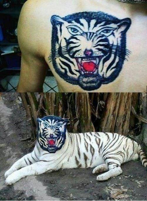 That’s the most realistic tattoo I’ve ever seen.
