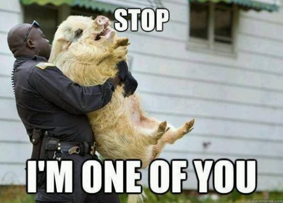 This makes me laugh every time I see it
