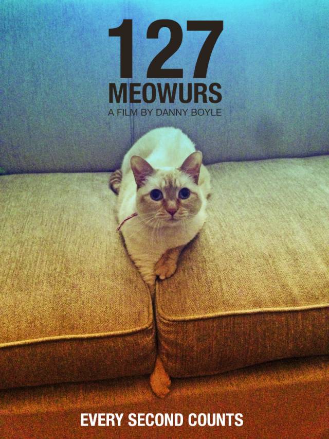 127 Meowurs