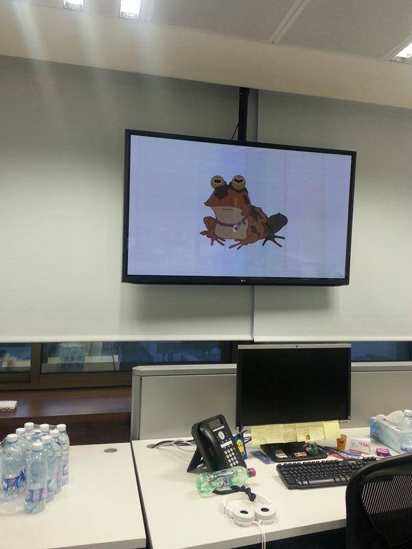 I realized people at work were staring and not working. I looked up to see this