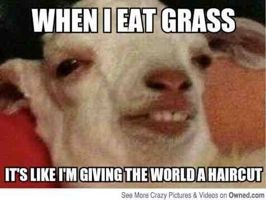 Whatever floats his goat