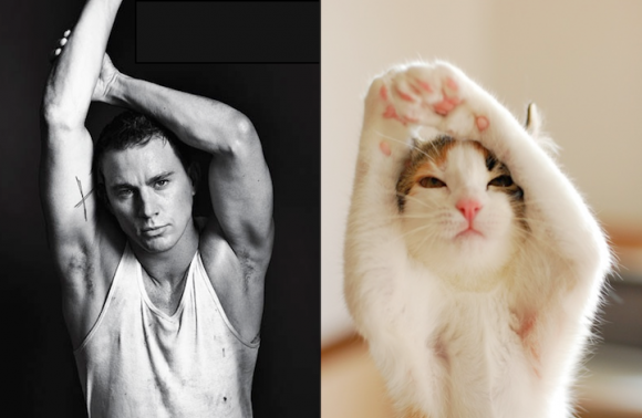 My cat does it better than you!