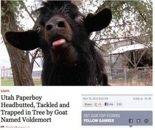 voldemort