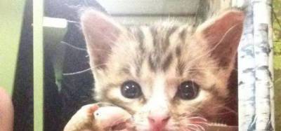 42 funny animal pic dumps