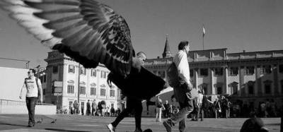 32 mesmerizing pics that will keep you guessing how they were taken