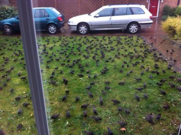 Didn’t want to go out today anyway.