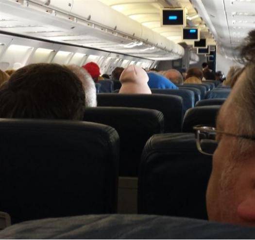 My friend was on a plane when suddenly