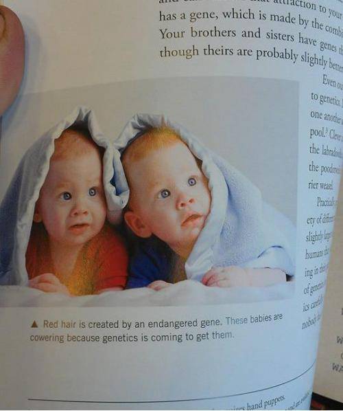 Wait...what?