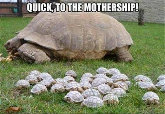 Quickly!!!