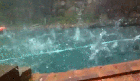Hail No!