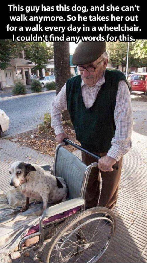 Faith in humanity..