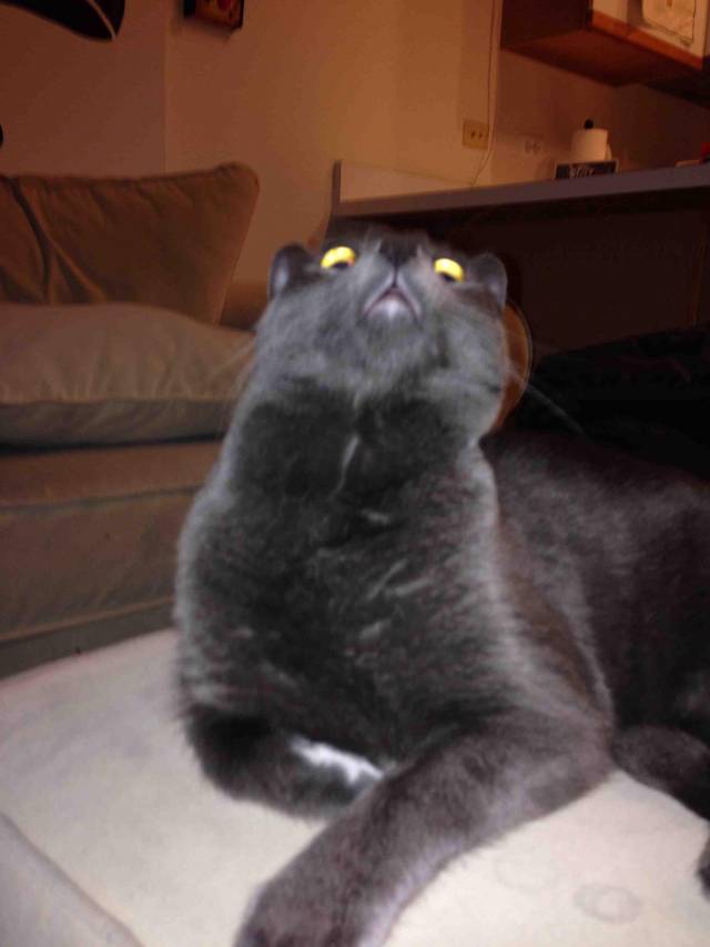 I am proud of capturing his face like this