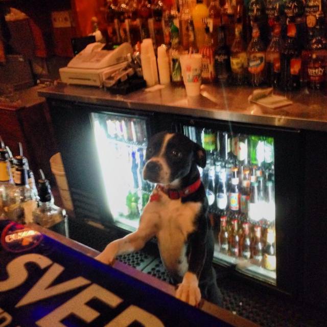 What's up with the service here?