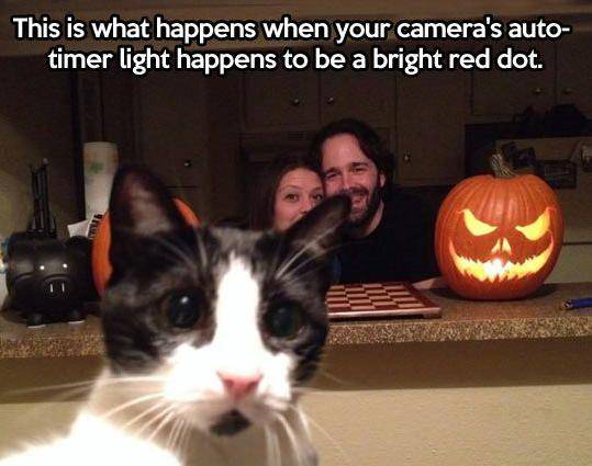 Gotcha!