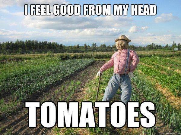I feel good