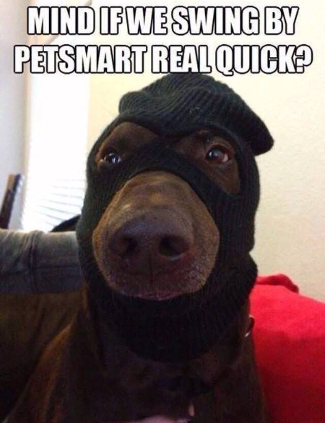 Always brings a smile to my face...