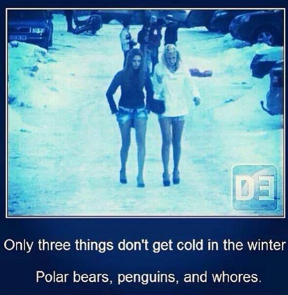 Three things that don't get cold in the winter