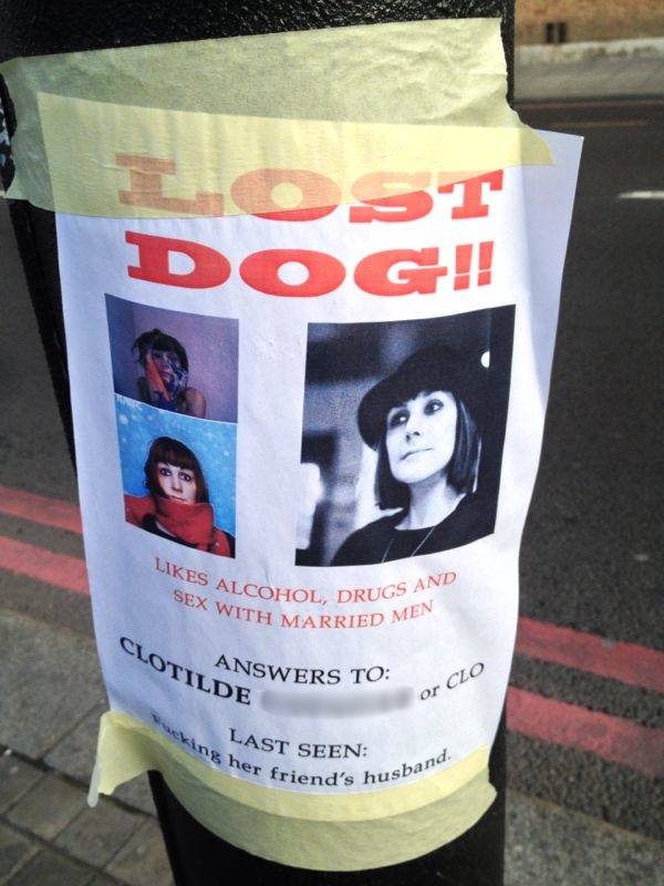 Lost Dog!!