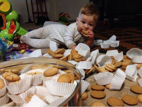 what my 11 month old kid did with all the cookies. He sure can be destructive
