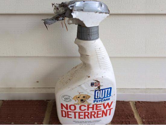 You win this round dog