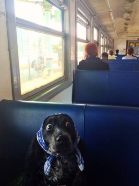 I missed my stop!