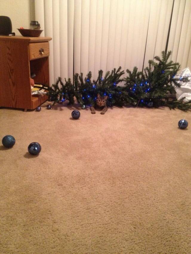 It hasn't even been up for 3 minutes...