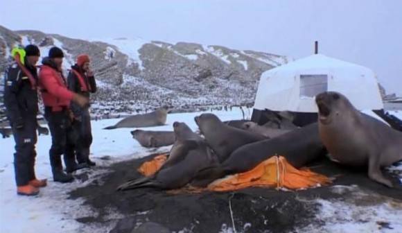 f*ck your tent