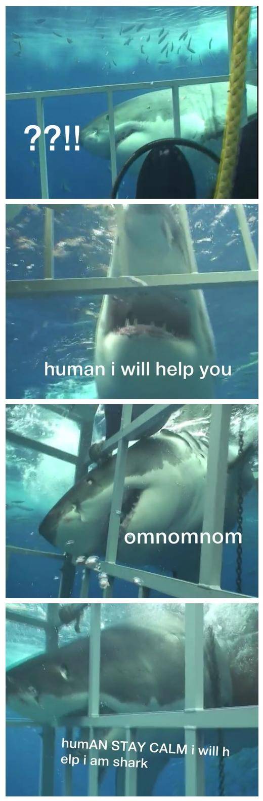 Makes me crack up every time.