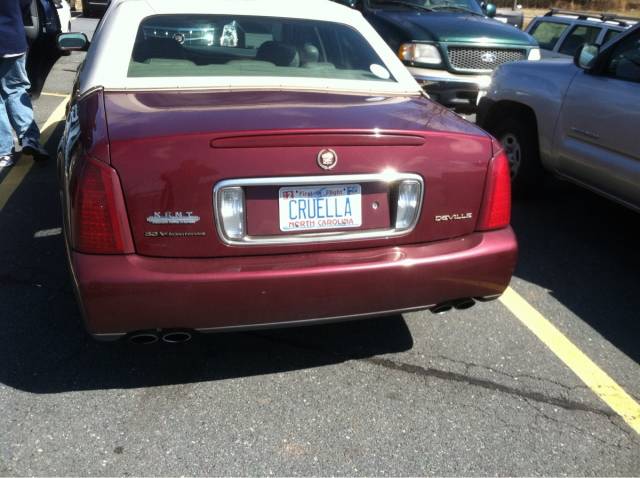 Found this in the Petsmart parking lot...