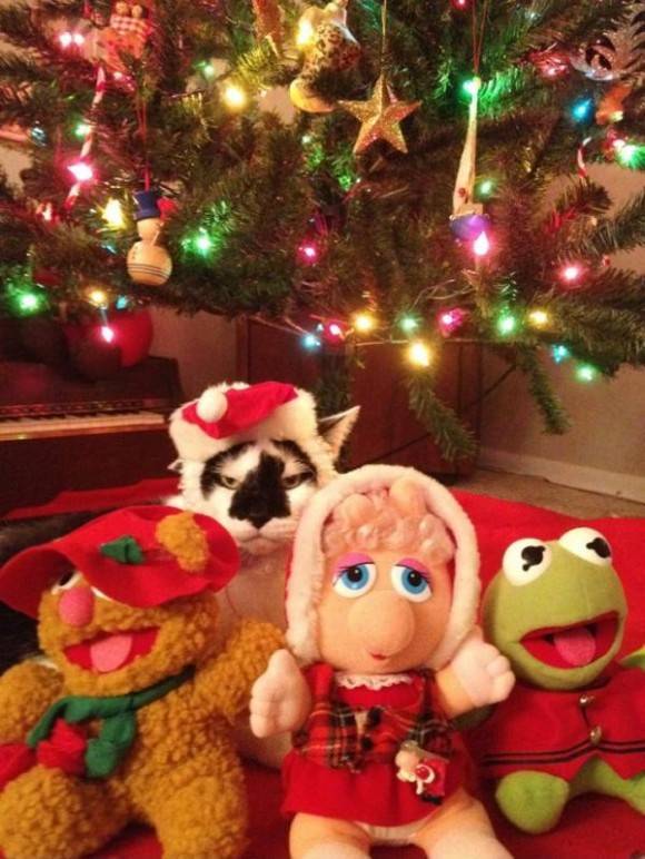 ‘Tis the season!