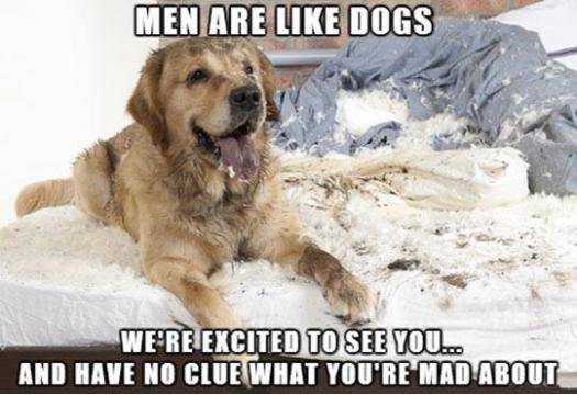 Can’t really argue with that